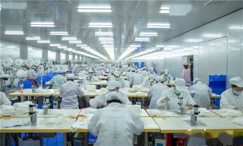 湖南朗盾科技雙喜臨門 成功獲取EAC認證與二類醫療器械產品注冊證，彰顯科技中介服務價值